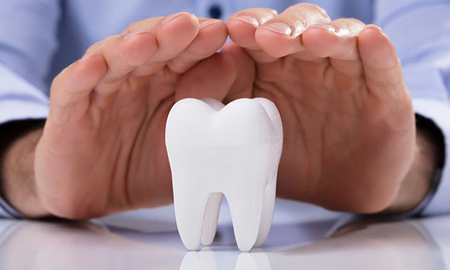 Hands forming heart shape around white tooth model on dental clinic desk