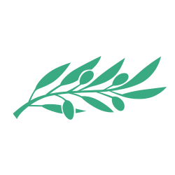 Green stylized olive branch with leaves, symbolizing health and wellness for dental clinic.