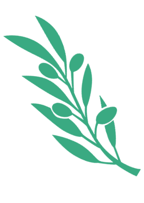 Green botanical branch with oval leaves on white background, dental clinic logo element.
