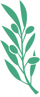 Green botanical leaf branch illustration for dental clinic branding